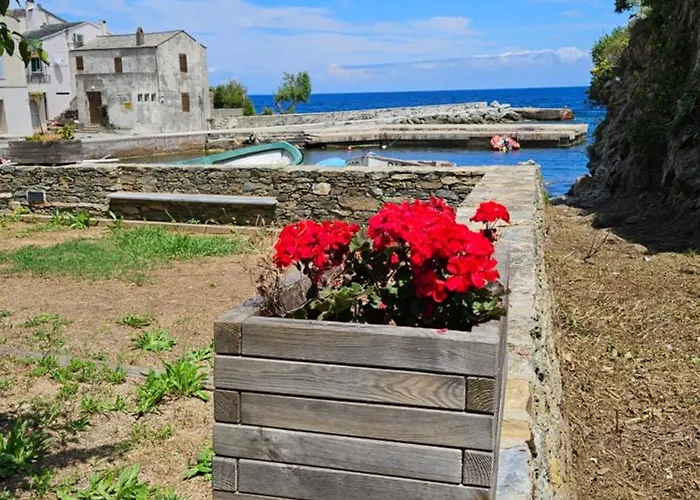 Maison Bella Vista Oda ve Kahvaltı Cagnano